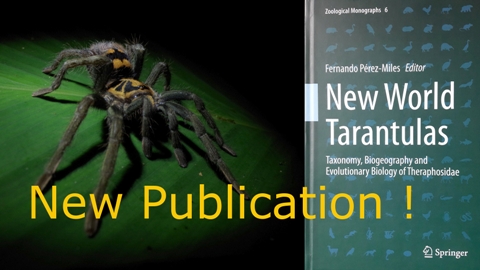 Tarantula and Book Cover of New World Tarantulas